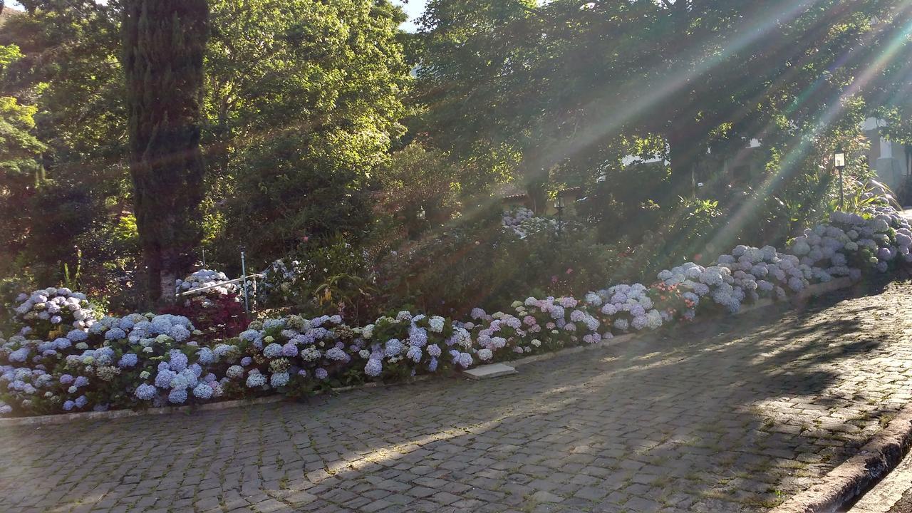 Caparao Parque Hotel Caparaó Velho المظهر الخارجي الصورة